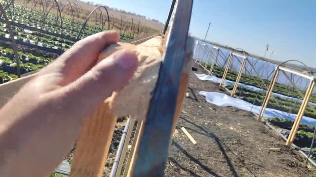 Монтаж парников (балаганов) для клубники ????
