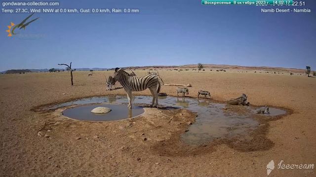 КАК ПРЕКРАСЕН ЭТОТ МИР