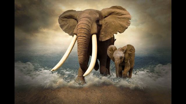 "Слон". Камиль Сен-Санс. "Карнавал животных"