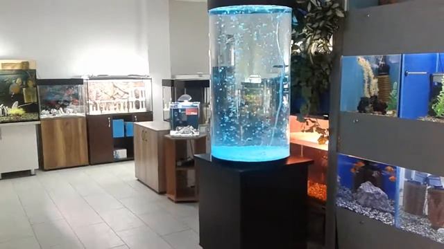 Аквариум цилиндрический. Аквасервис. Новосибирск.