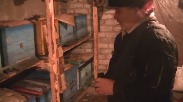 Зимовка пчёл