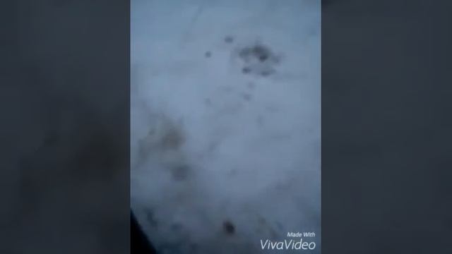 Маршрутный бортовый компьютер Multitronics X150