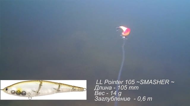 Обзор воблеров. Свимбейты и стикбейты. Как они играют. Подводные съёмки
