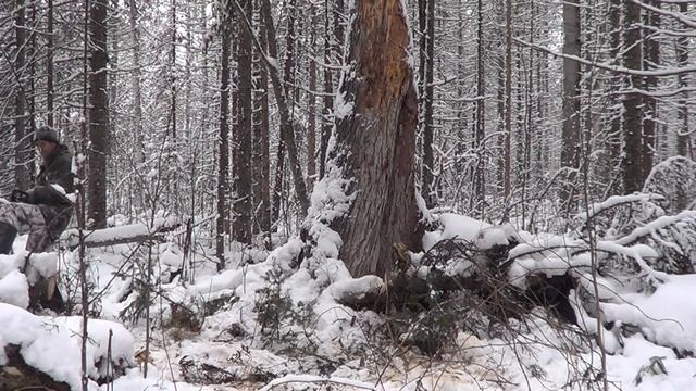 На промысле в Сибири