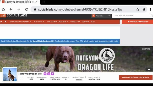 Агоп и его банда - Обзор канала Питбули Dragon life