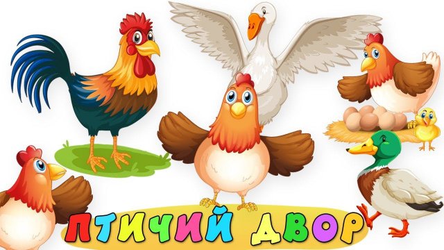 Птичий двор на ферме - Мультфильм для детей про животных