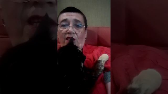 video_6521551522550.mp4