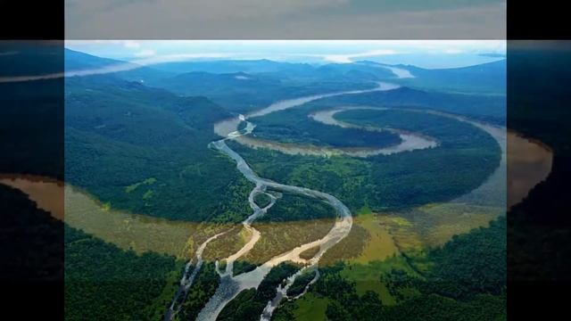 Матрица П Гаряева  Коррекция сердечно сосудистой системы