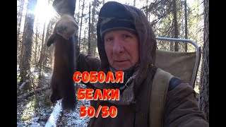 ВТОРАЯ ПРОВЕРКА ПРОДОЛЖАЕТСЯ. СОБОЛЬ,БЕЛКА,РЯБЧИК.