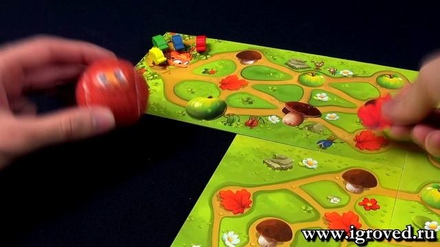 Лучшие игры на возраст 3-4 года. Обзор настольных игр от Игроведа