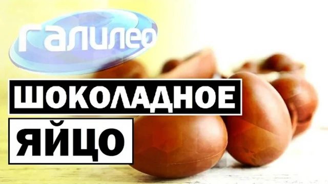 Галилео | 0113 🍫🥚 Шоколадное яйцо
