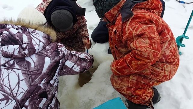 Крупный Лещ зимой на мормышку.