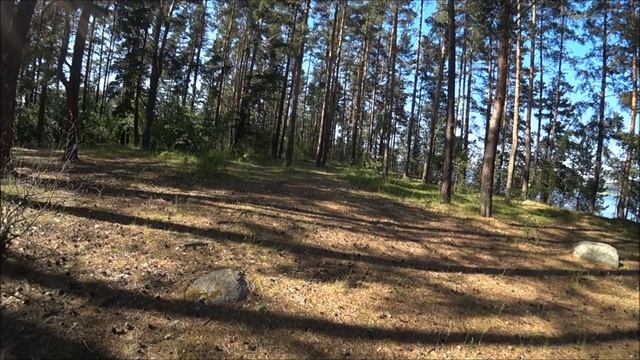 отдых с друзьями на природе