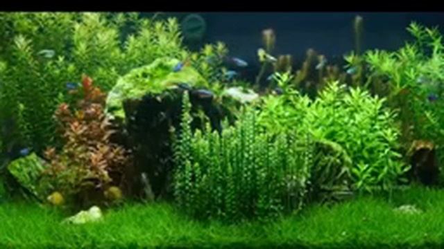 Расслабляющая музыка для сна (12 часов)
