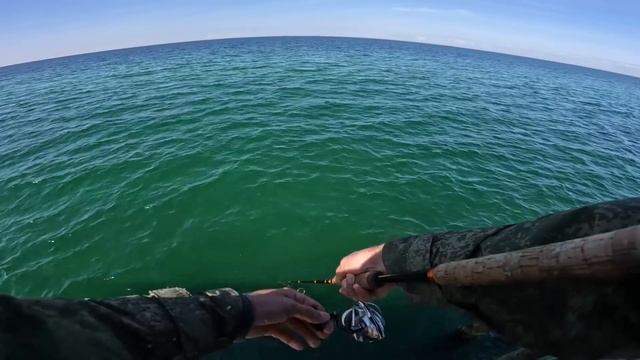 Ловля крупного саргана