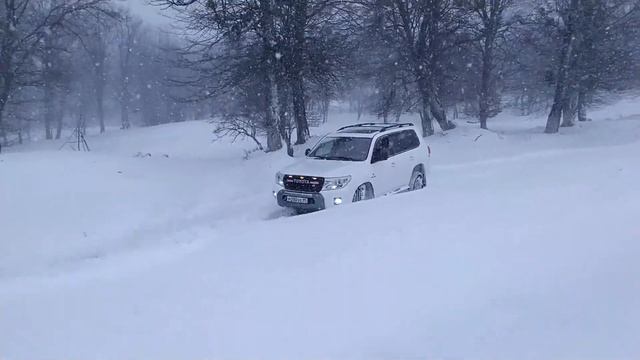 Тойота ленд крузер 200 дизель. Прогулка по снегу.