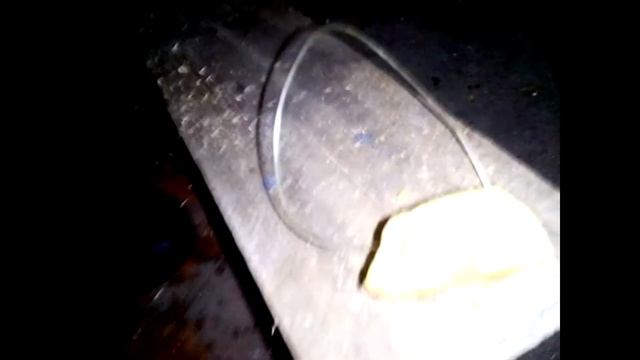 Ловушка для крыс своими руками. Охота на грызунов. Крысоловка.