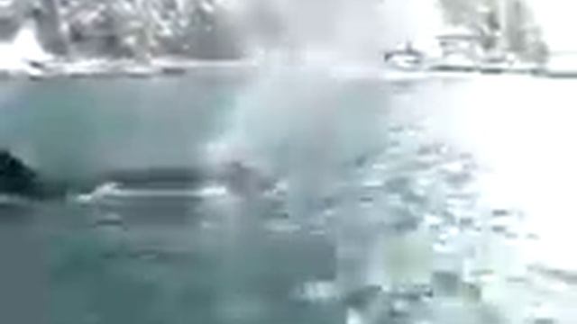 Касатка преследует лодку)) The killer whales pursue the boat.