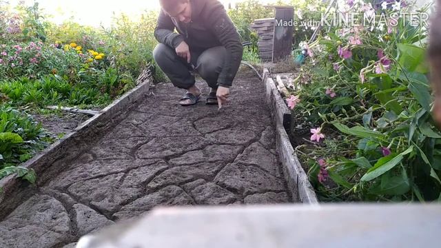 дорожка с арт-бетона. декоративный камень своими руками.