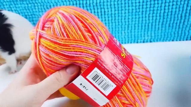 АНТИСТРЕСС ИГРУШКИ ПРОТИВ ПИТОМЦЕВ ЧЕЛЛЕНДЖ. НЕОБЫЧНЫЕ ЛАЙФХАКИ ОТ СВИНКА БУЗЯ