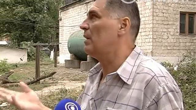 ДЕРЕВЬЯ.mpg