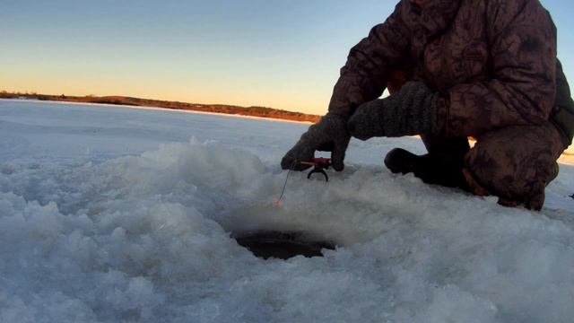 Ловля сома на удочку зимой.