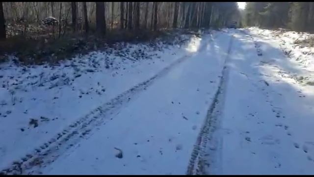 Появились волки, расставляю капканы. Охота на волка в Бурятии