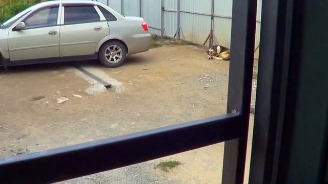 Ворота гаража своими руками