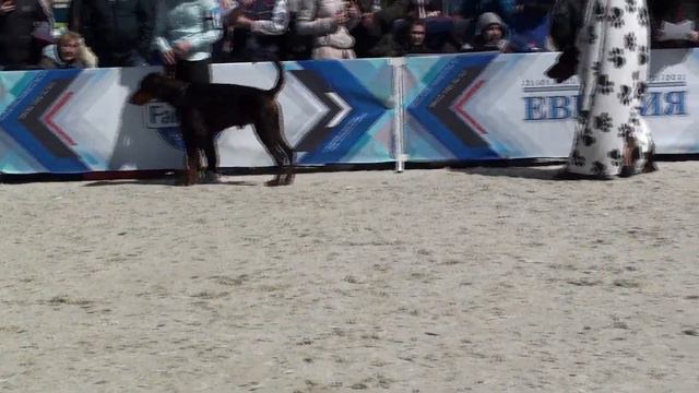 Евразия 2022 второй день