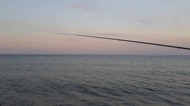 Ловим кефаль с берега на черном море.