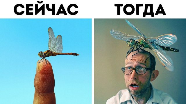 Захватывающие факты о животных, которые вы не найдете в учебнике