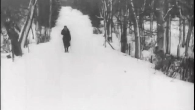 СОФЬЯ АНДРЕЕВНА (Толстая)