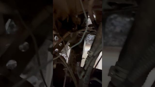 Замена ГБЦ на Газель Бизнес, двигатель 4216 евро 4