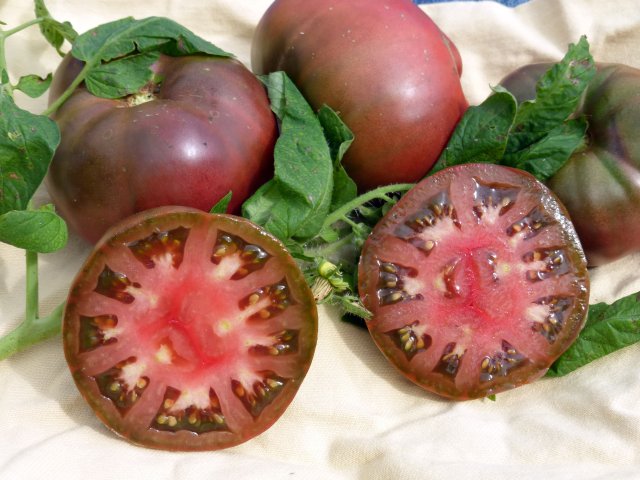 ОБЗОР САМЫХ УРОЖАЙНЫХ ЭКЗОТИЧЕСКИХ ТОМАТОВ С ПОТРЯСАЮЩИМ ВКУСОМ.Мои результаты 2021г