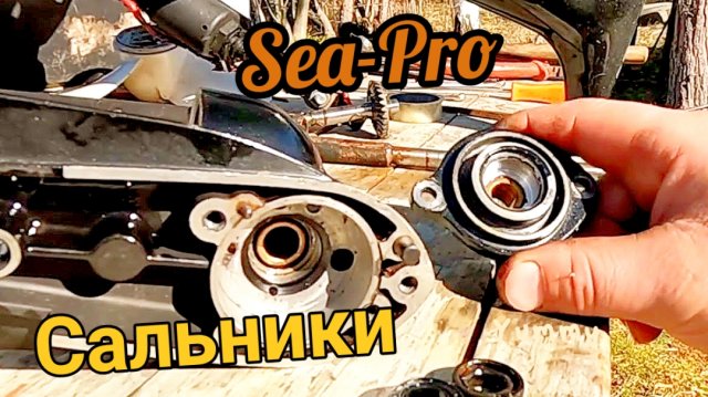Лодочный мотор Sea-Pro 2.5 как заменить сальники редуктора. Показываю с чем столкнулся при ремонте.