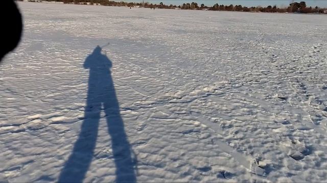 Судак на догонялку! Ловля пассивного судака! Зимняя рыбалка 2019!
