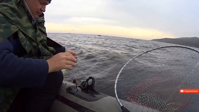 Ловля леща на кольцо осенью.