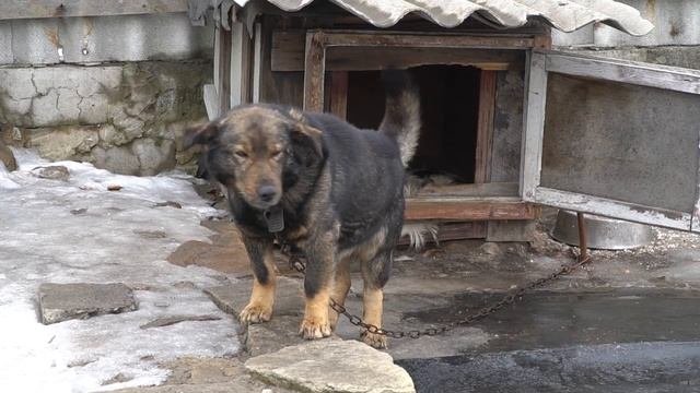 Благотворительный фонд "Светлый Путь" - промо 2019 г.