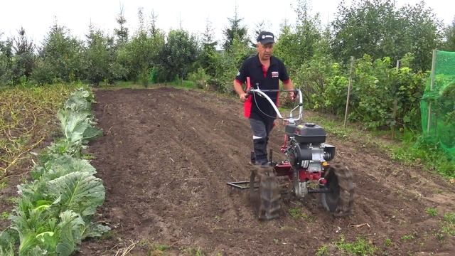 Мотоблок с бороной! Зачем и как правильно бороновать?! Зачем сеять горчицу?! Мотоблок МОБИЛ К!