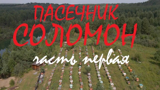 ПАСЕЧНИК СОЛОМОН, ЧАСТЬ ПЕРВАЯ, 2012