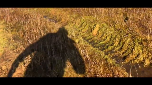 НА БОЛОТО ЗА КЛЮКВОЙ НА КАРАКАТЕ