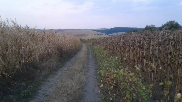 Медитация Гармония души и тела
