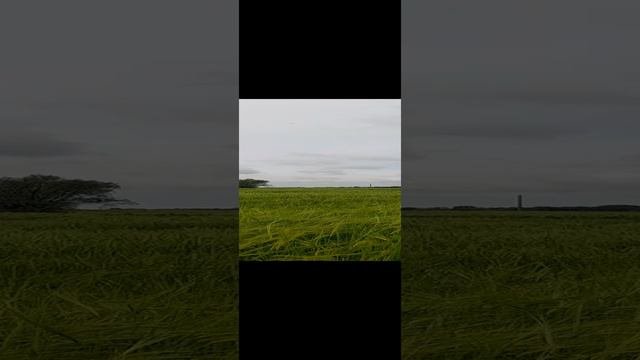 20240503_110146
