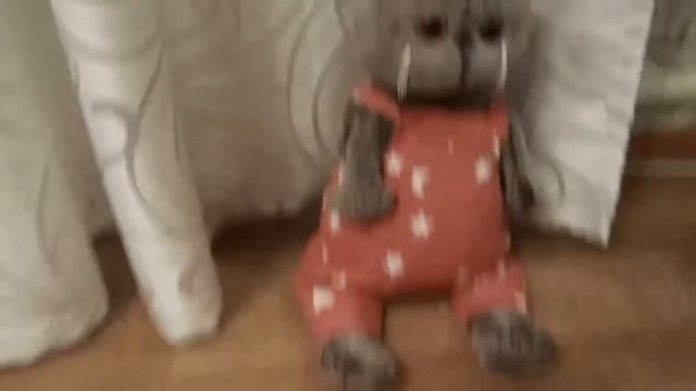 Новогодний влог с БАСИКАМИ