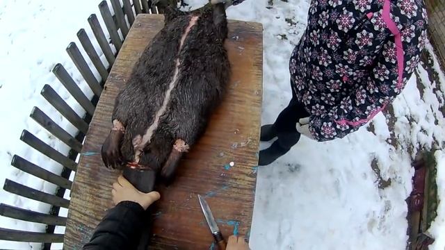 СТАВИМ КАПКАНЫ НА ПЛОТИНЕ И РАЗДЕЛКА  БОБРА