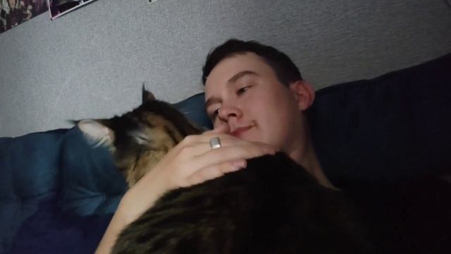 Чем можно и нельзя кормить мейн-куна?