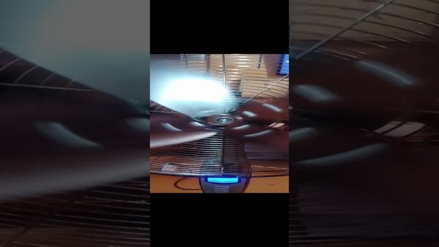 video_20240905_165709.mp4