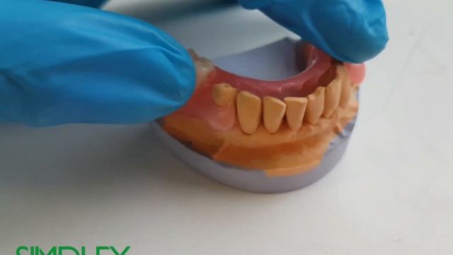 Материал Симплекс (SIMPLEX) ● починки акрилом ● легко полируется ● simplex-dental.ru