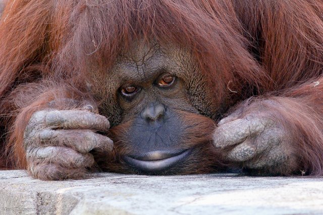 Владимир Походяев. Утренняя зарисовка.