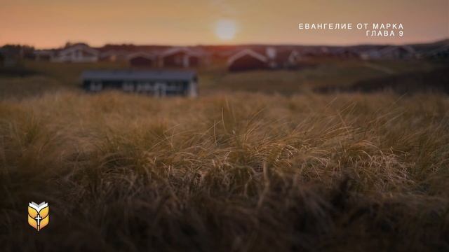Евангелие от Марка под звуки природы. Современный перевод Библии #biblevision